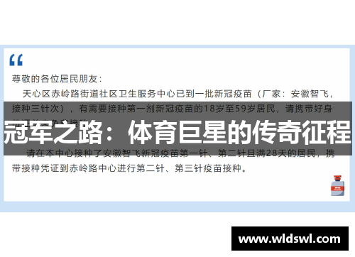 冠军之路：体育巨星的传奇征程